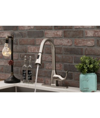 1 HANDLE PULL-DOWN SPRAYER KITCHEN FAUCET - 803 BRUSHED NICKEL
